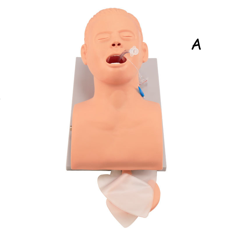 Medical Lab Management - Nhựa PVC Người Lớn Đặt Nội