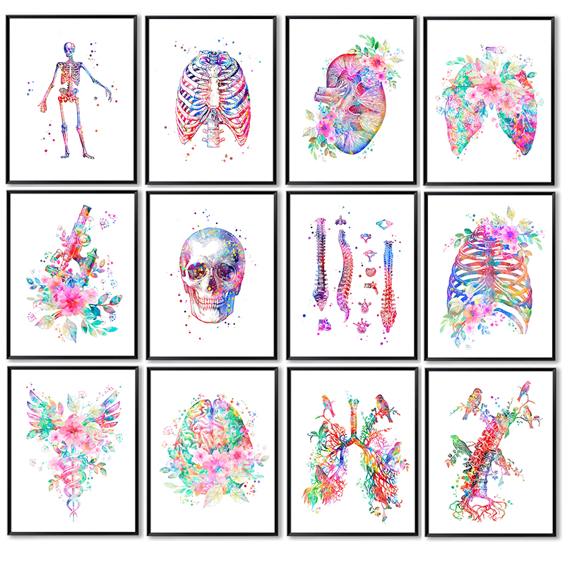 Unframe Anatomy Medical Poster - đánh giá và giá Medical Lab Posters