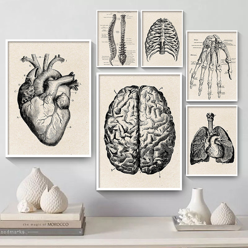 Thẩm Mỹ Trang Trí Phòng Anime  - đánh giá và giá Medical Lab Posters